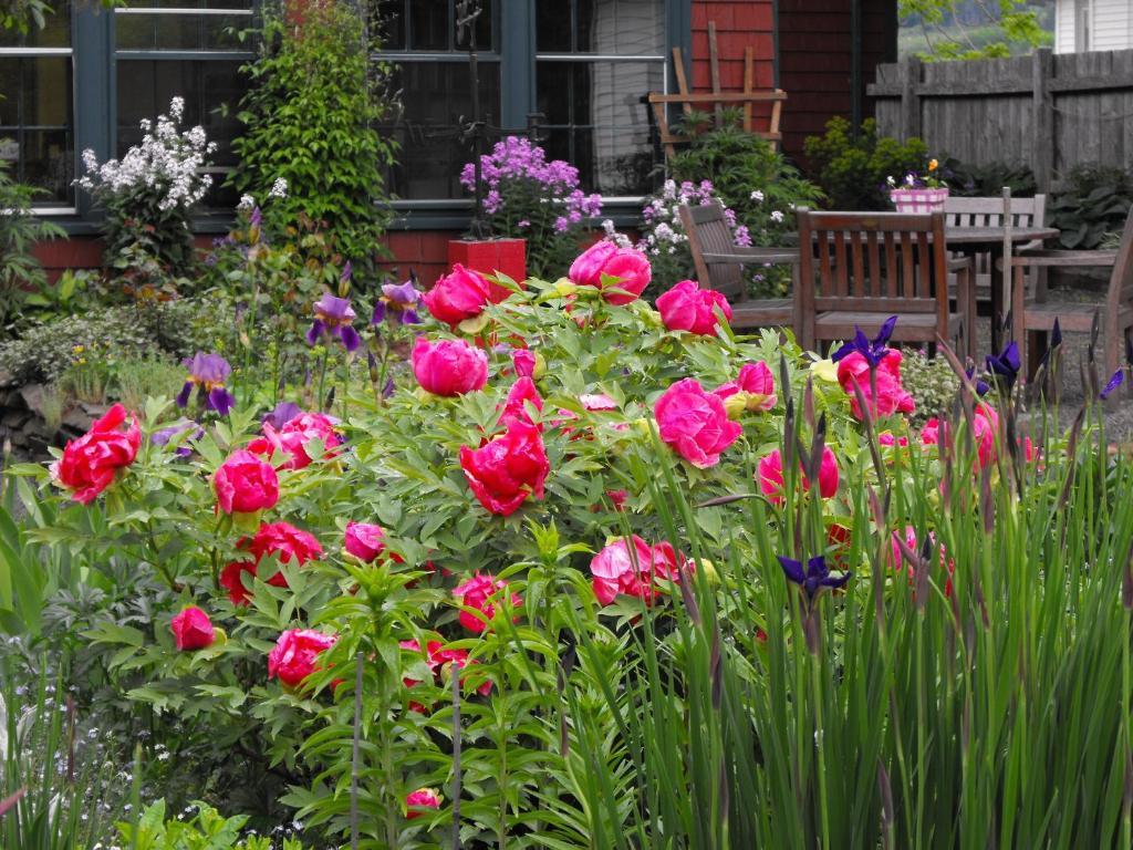 Bailey House Bed And Breakfast Annapolis Royal Kamer foto