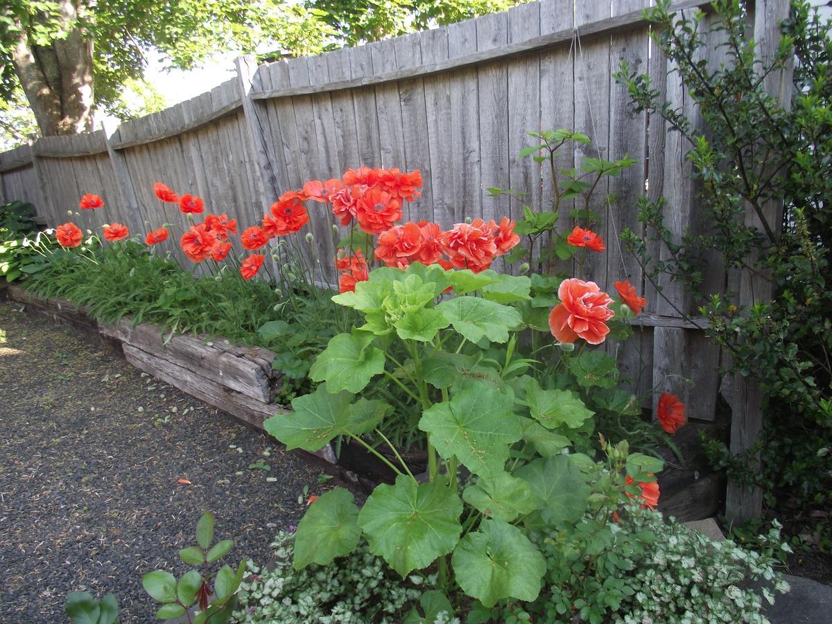 Bailey House Bed And Breakfast Annapolis Royal Buitenkant foto